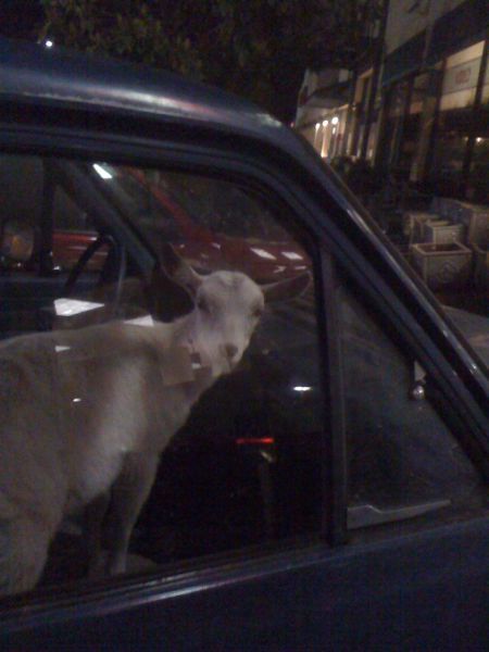 Bildschirmarbeiter - Picdump 01.06.2012