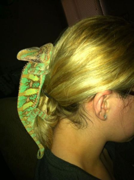 Bildschirmarbeiter - Picdump 01.06.2012