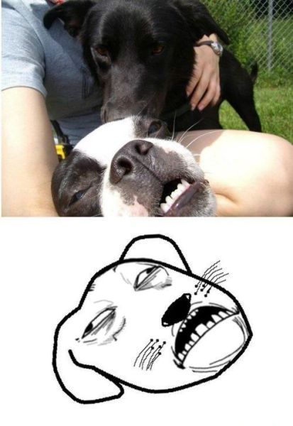 Bildschirmarbeiter - Picdump 01.06.2012