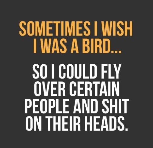 Bildschirmarbeiter - Picdump 01.06.2012