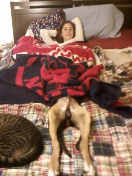 Bildschirmarbeiter - Picdump 01.06.2012