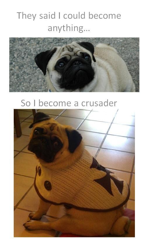 Bildschirmarbeiter - Picdump 01.06.2012