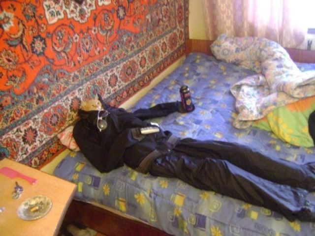 Bildschirmarbeiter - Picdump 01.06.2012