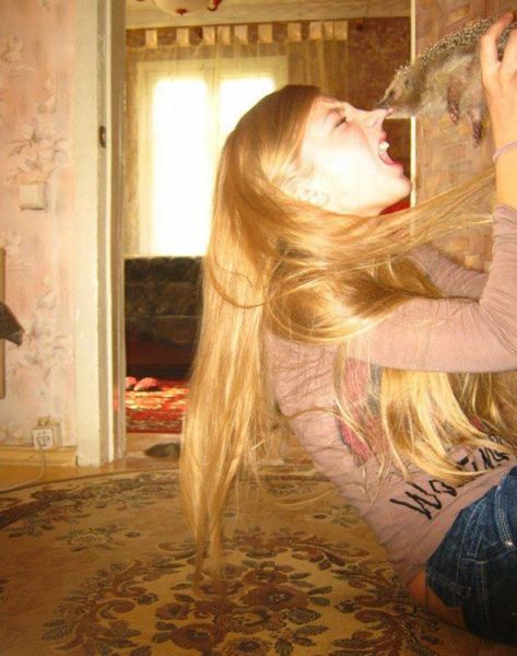 Bildschirmarbeiter - Picdump 08.06.2012