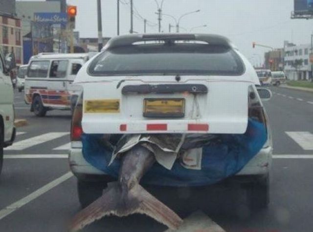 Bildschirmarbeiter - Picdump 08.06.2012