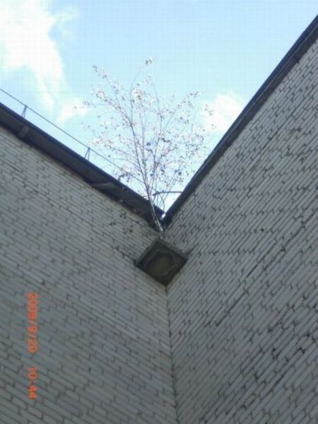 Bildschirmarbeiter - Picdump 08.06.2012