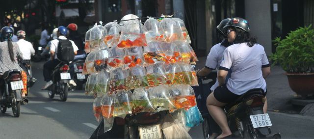 Bildschirmarbeiter - Picdump 08.06.2012