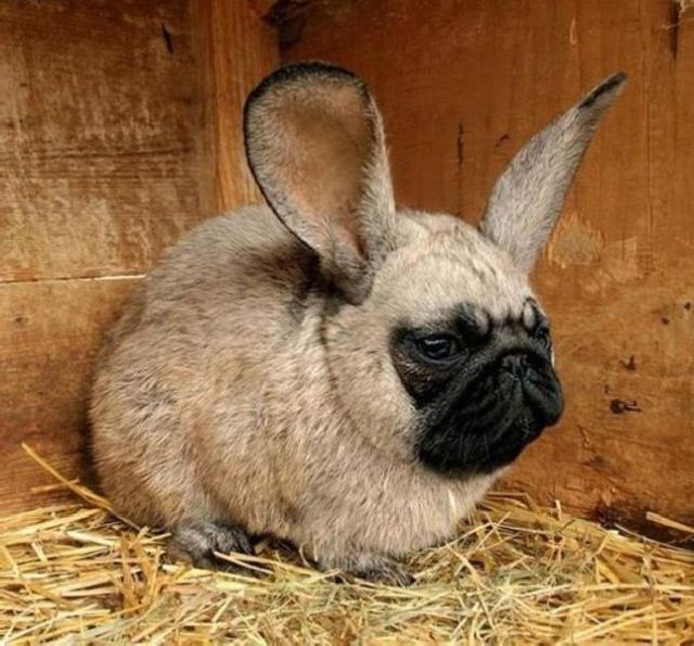 Bildschirmarbeiter - Picdump 08.06.2012