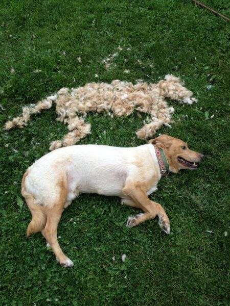 Bildschirmarbeiter - Picdump 08.06.2012