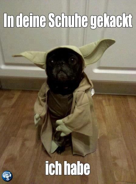 Bildschirmarbeiter - Picdump 15.06.2012