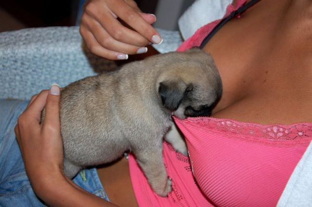 Bildschirmarbeiter - Picdump 15.06.2012