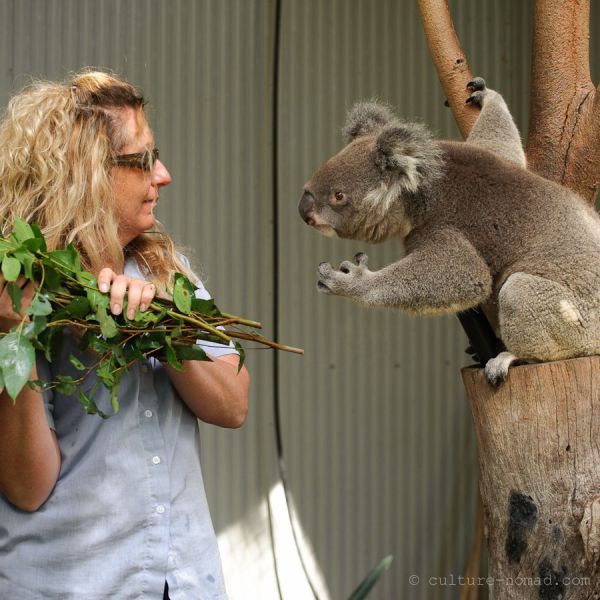 Bildschirmarbeiter - Picdump 15.06.2012