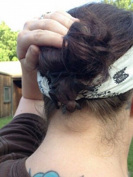 Bildschirmarbeiter - Picdump 15.06.2012