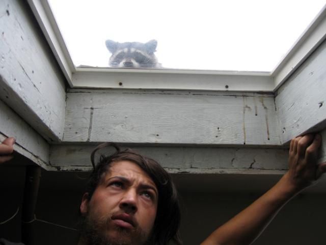 Bildschirmarbeiter - Picdump 15.06.2012