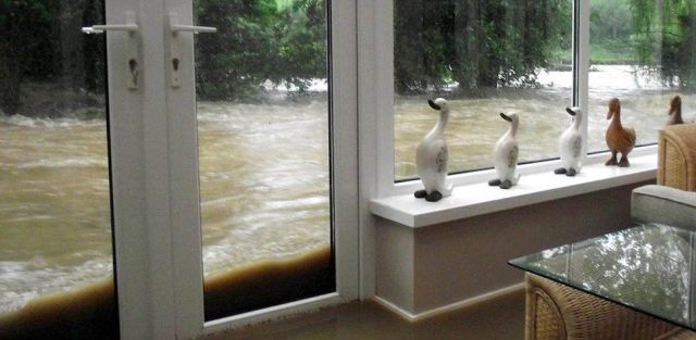 Bildschirmarbeiter - Picdump 15.06.2012