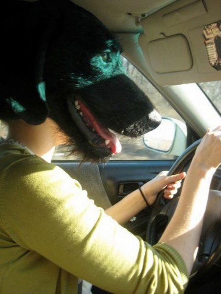 Bildschirmarbeiter - Picdump 15.06.2012