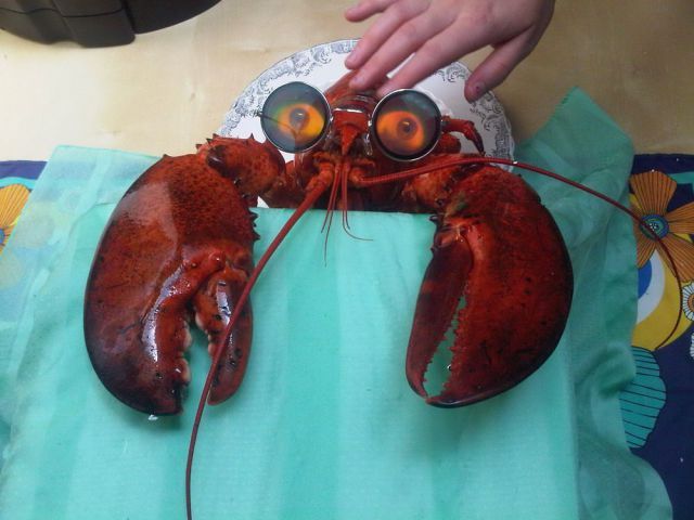 Bildschirmarbeiter - Picdump 15.06.2012