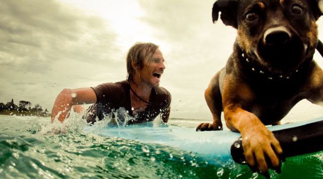 Bildschirmarbeiter - Picdump 15.06.2012