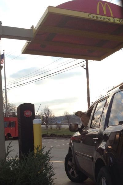 Bildschirmarbeiter - Picdump 15.06.2012