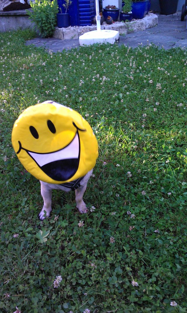 Bildschirmarbeiter - Picdump 15.06.2012