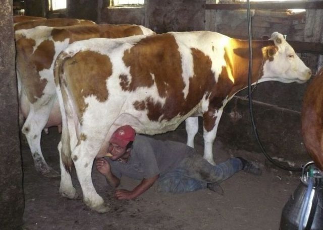 Bildschirmarbeiter - Picdump 15.06.2012