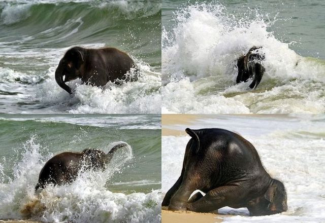 Bildschirmarbeiter - Picdump 22.06.2012