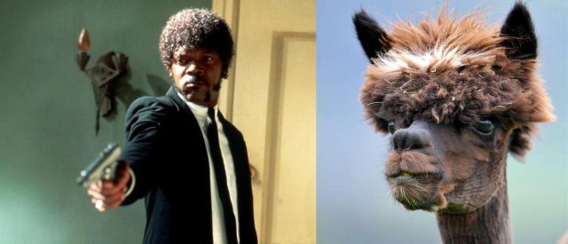 Bildschirmarbeiter - Picdump 22.06.2012