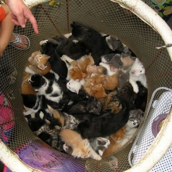 Bildschirmarbeiter - Picdump 22.06.2012