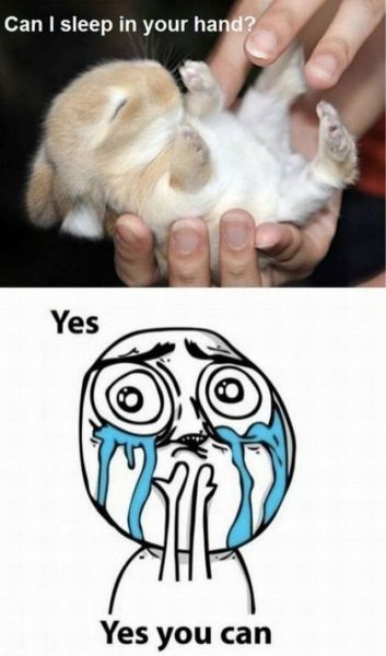 Bildschirmarbeiter - Picdump 22.06.2012