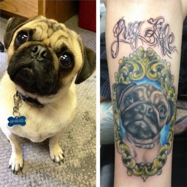 Bildschirmarbeiter - Picdump 22.06.2012