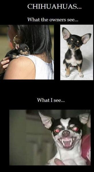 Bildschirmarbeiter - Picdump 22.06.2012