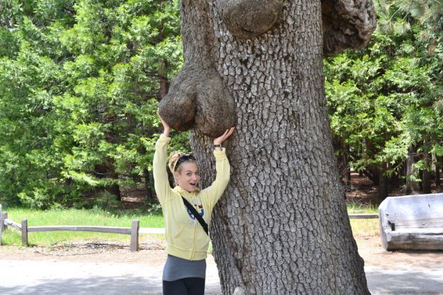 Bildschirmarbeiter - Picdump 29.06.2012