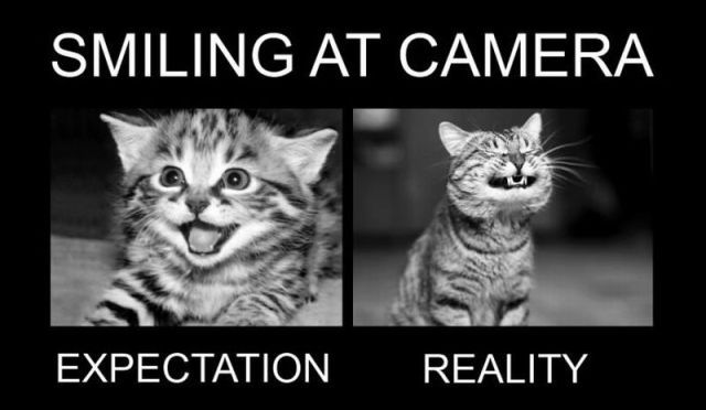 Bildschirmarbeiter - Picdump 29.06.2012