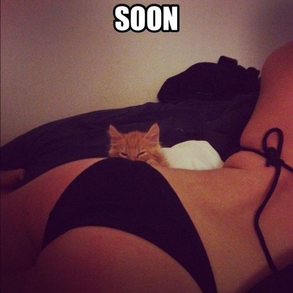 Bildschirmarbeiter - Picdump 29.06.2012