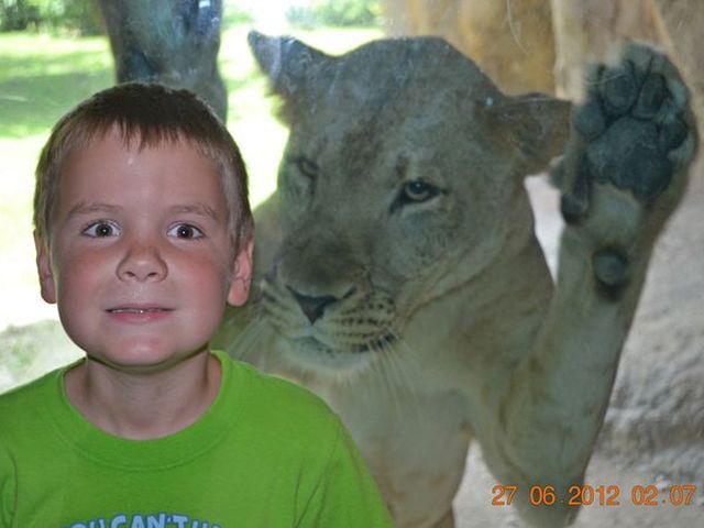 Bildschirmarbeiter - Picdump 29.06.2012