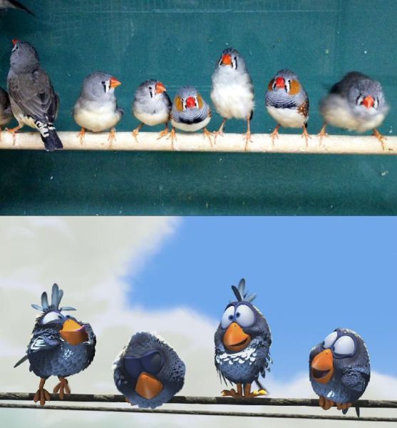 Bildschirmarbeiter - Picdump 29.06.2012