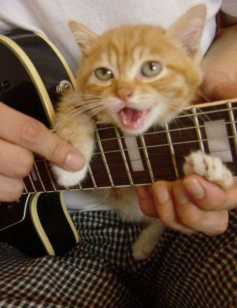 Bildschirmarbeiter - Picdump 29.06.2012