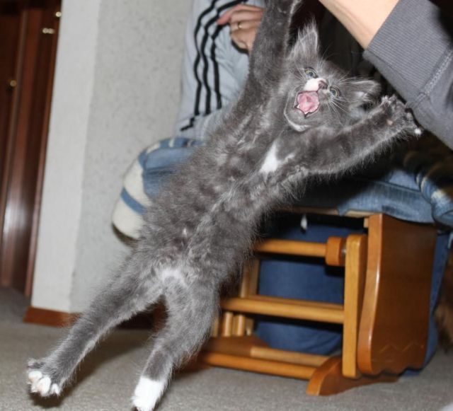 Bildschirmarbeiter - Picdump 29.06.2012