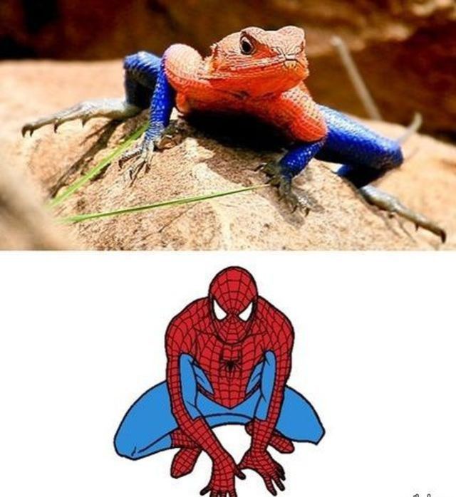 Bildschirmarbeiter - Picdump 06.07.2012