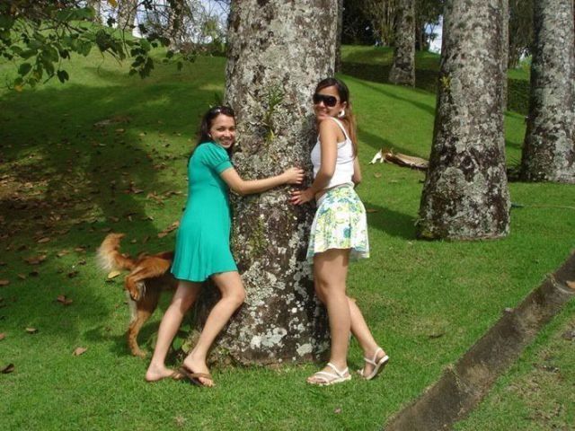 Bildschirmarbeiter - Picdump 06.07.2012