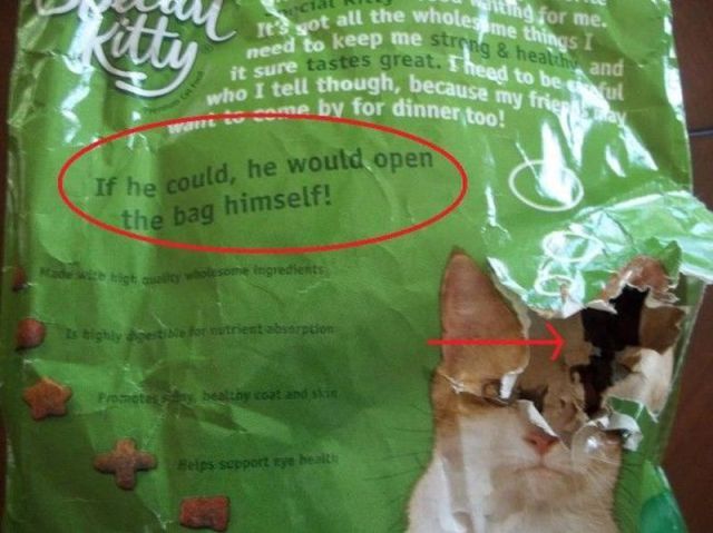 Bildschirmarbeiter - Picdump 06.07.2012