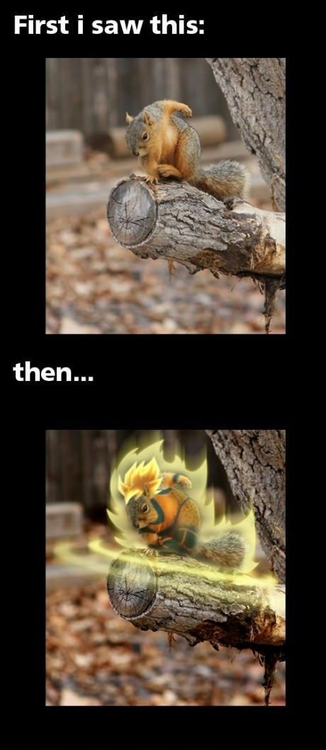 Bildschirmarbeiter - Picdump 06.07.2012