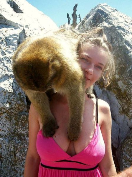 Bildschirmarbeiter - Picdump 06.07.2012