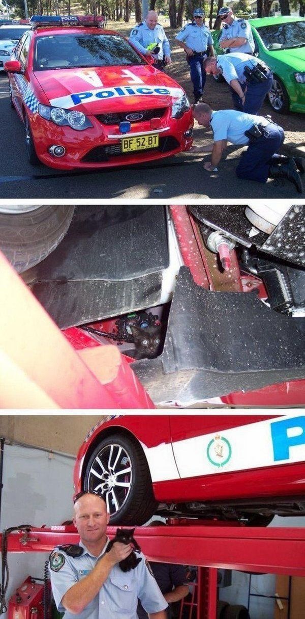 Bildschirmarbeiter - Picdump 06.07.2012