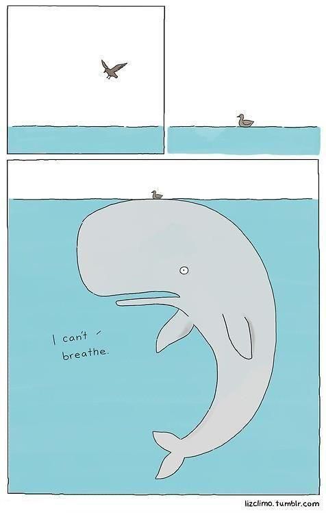 Bildschirmarbeiter - Picdump 13.07.2012