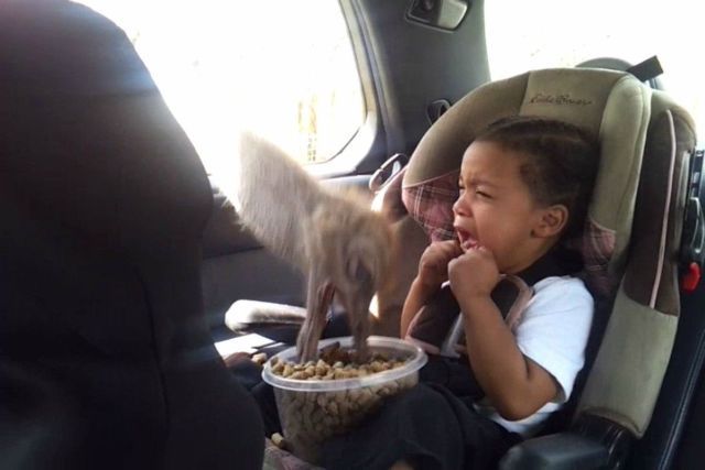 Bildschirmarbeiter - Picdump 13.07.2012