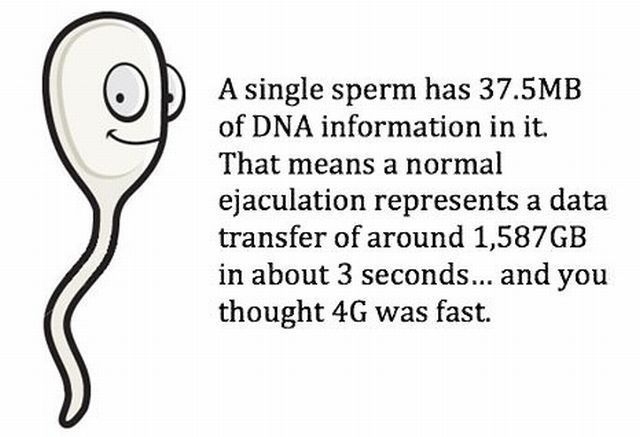 Bildschirmarbeiter - Picdump 13.07.2012