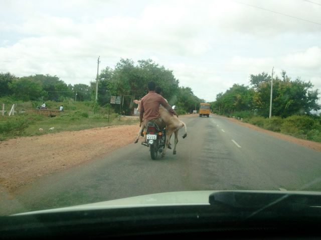 Bildschirmarbeiter - Picdump 13.07.2012