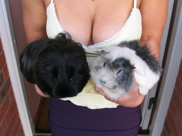 Bildschirmarbeiter - Picdump 13.07.2012