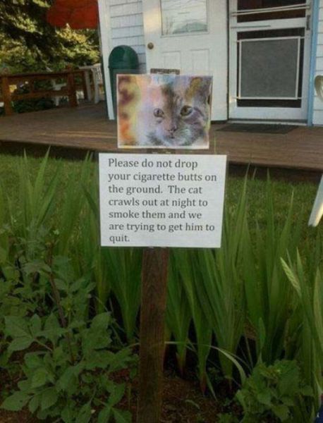 Bildschirmarbeiter - Picdump 13.07.2012